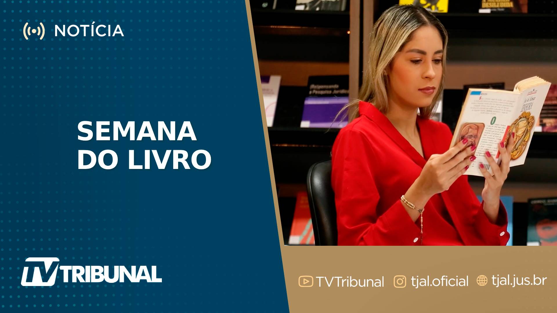  Dica de leitura: Vitória Virgínia 